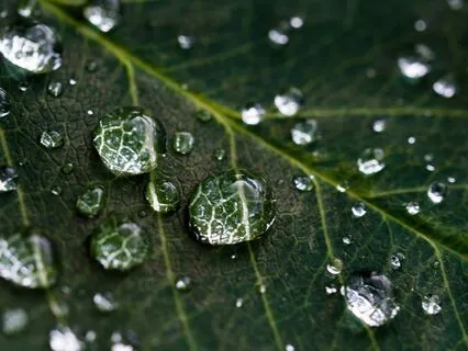 3-Minute Calming Body Scan