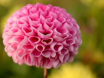 3-Minute Calming, Loving-Kindness Meditation