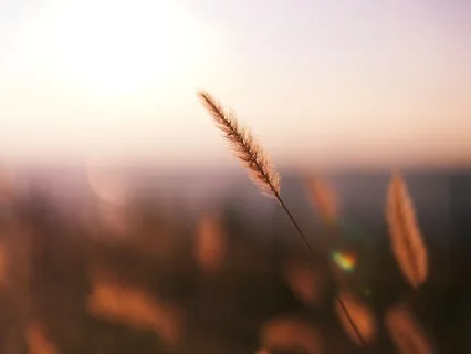 Centering Reboot: Be More Conscious, Connected, And Calm