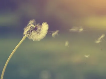 3-Minute Cleansing Breath Meditation