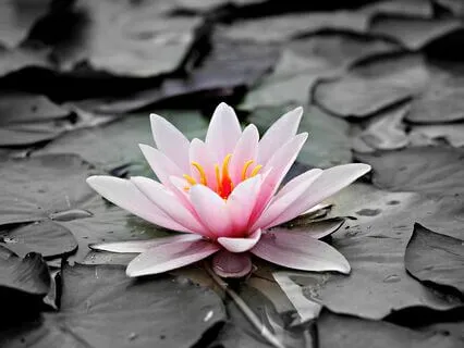 3 Minute Emotional Check-In