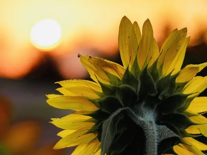 3-Minute Good Morning Meditation