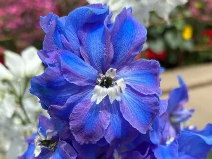 3 Minute Gratitude Boost For Busy Mornings