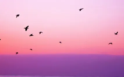 3 Minute Hack To Stop Overwhelm