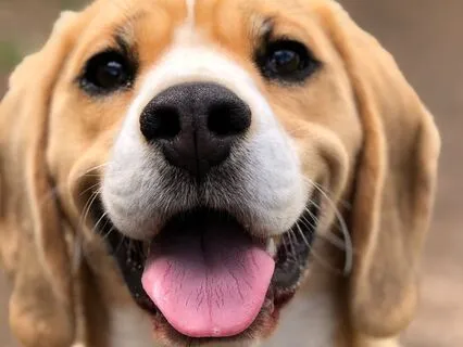 3 Minute Happiness Meditation