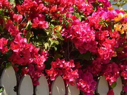 3 Minute 'Healthy Boundaries' Morning Practice