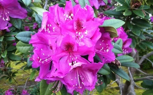 3-Minute Intention Setting With Values