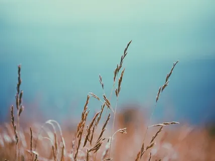 3 Minute Meditation - A Moment To Reset