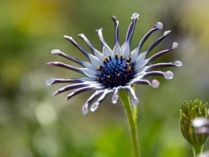 3-Minute Meditation: Being Held Without Doing