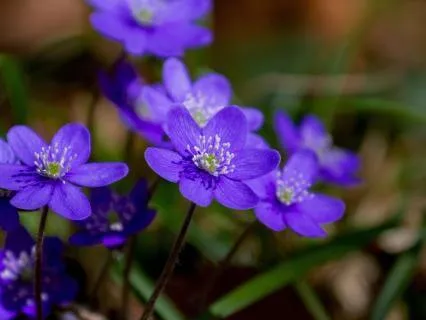 3-Minute Meditation: Feel Held And Supported