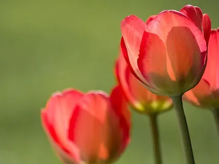 3 Minute Practice: May All Beings Be Happy And Free