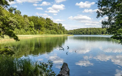 3-Minute Meditation: Melting Into The Breath