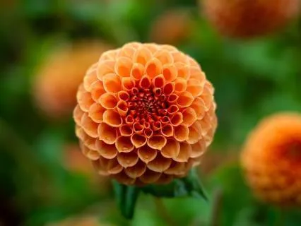 3 Minute Meditation: Nervous System Reset