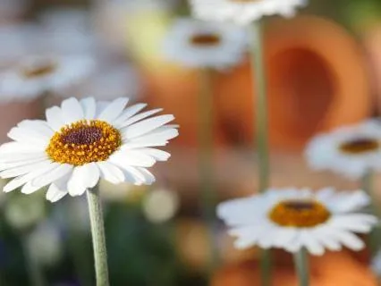 3 Minute Meditation: Quiet An Overactive Mind