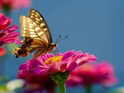 3-Minute Meditation: Returning To Yourself