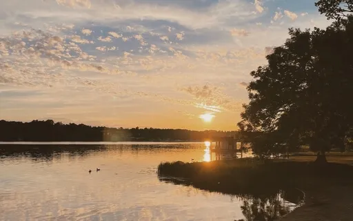 3 Minute Meditation To Calm Your Mind & Find Stillness