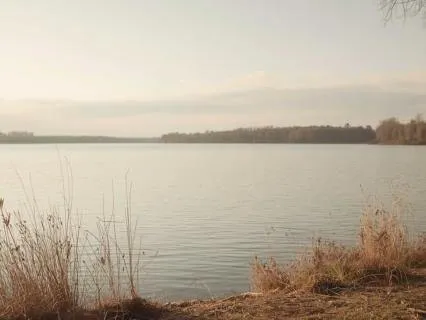 3 Minute Meditation To Crush Negativity