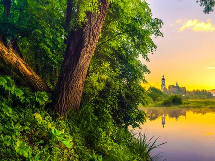 3-Minute Mindful Breathing Practice (Relieve Stress) | Meditation To Calm The Mind