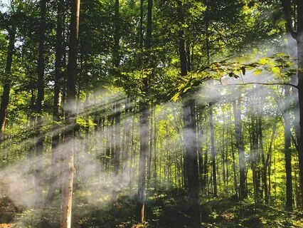 3-Minute Mindfulness Break