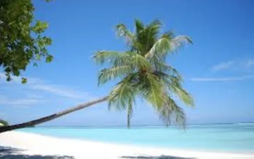 3-Minute Mindfulness Of Breath