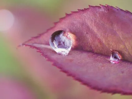 3 Minute Morning Affirmations