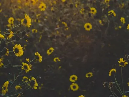 3-Minute Morning Breathwork Practice