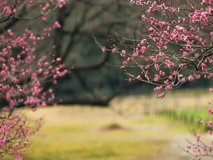 3 Minute Morning Gratitude Experience