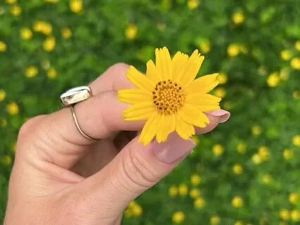 3-Minute Morning Meditation For Intention And Presence