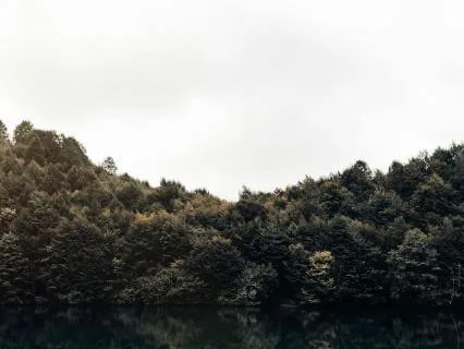 3-Minute Morning Meditation