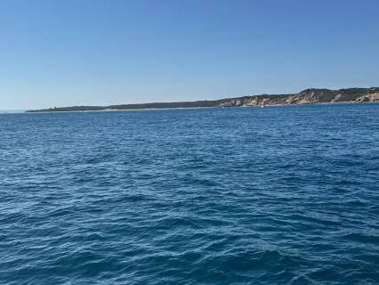 3-Minute Nervous System Reset (Before Work)