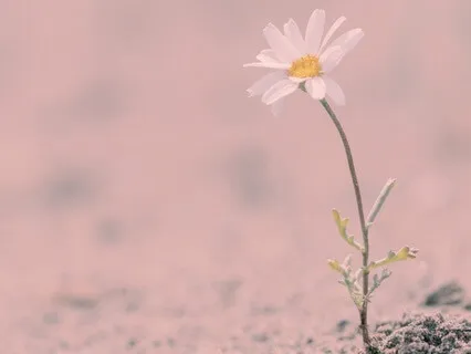 3-Minute Nervous System Reset