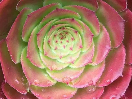 3 Minute Panic Reset