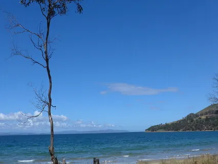 3 Minute Quickie Guided Meditation