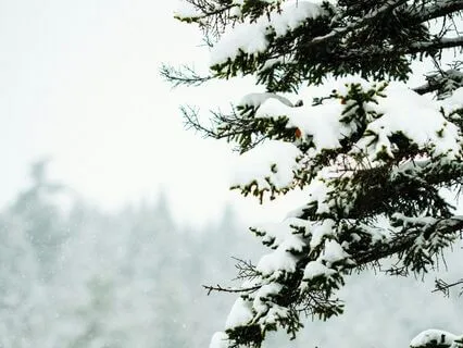 3-Minute Reset For Calm