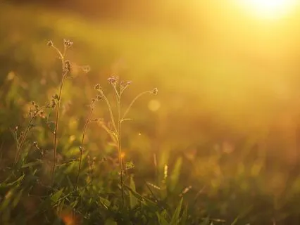 3 Minute Self Healing Pause