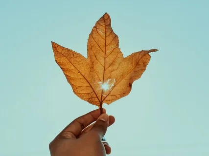 3 Minute SOBER Breathing Space