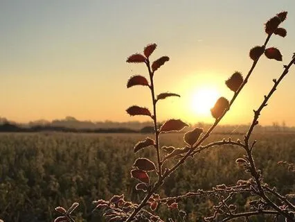 3-Minute Sunrise Affirmation