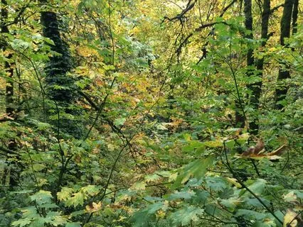 3-Minute Tension Release