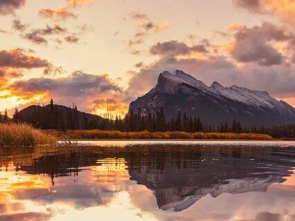 3 Minute Theta Wave | Heart Chakra Boost | Heal Anxiety