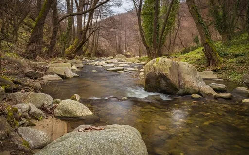 3 Minute Wind Down Piano And Calm Stream