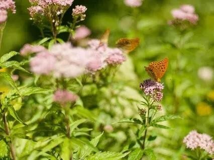 3-Minute Work Break: I Get It Done With Ease