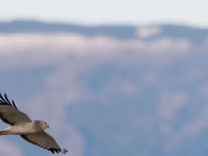 3-Minute Workday Affirmation For Momentum