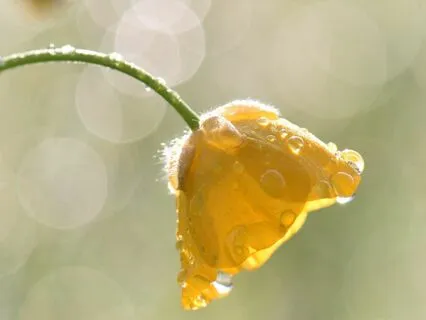 3 Minutes In The Now Morning Meditation For Awareness