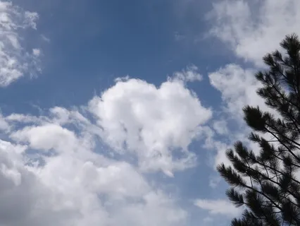 3 Minutes Mindfulness Break