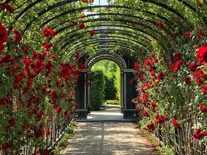 3 Minutes Of Heart-Focused Breathing