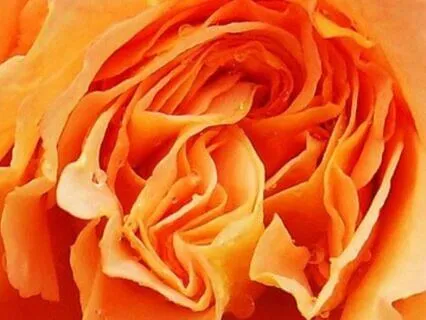 3 Minutes Of Noticing Practice