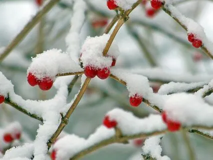 3 Minutes To Christmas Bliss