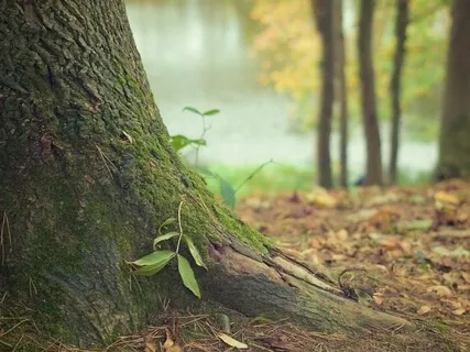 3 Minutes To Ground Yourself