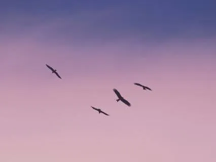 3 Minutes To Release Stress