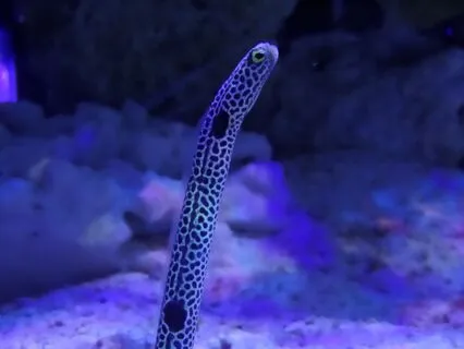 3 Minutes - Wash Away Negativity (Reiki-Infused)